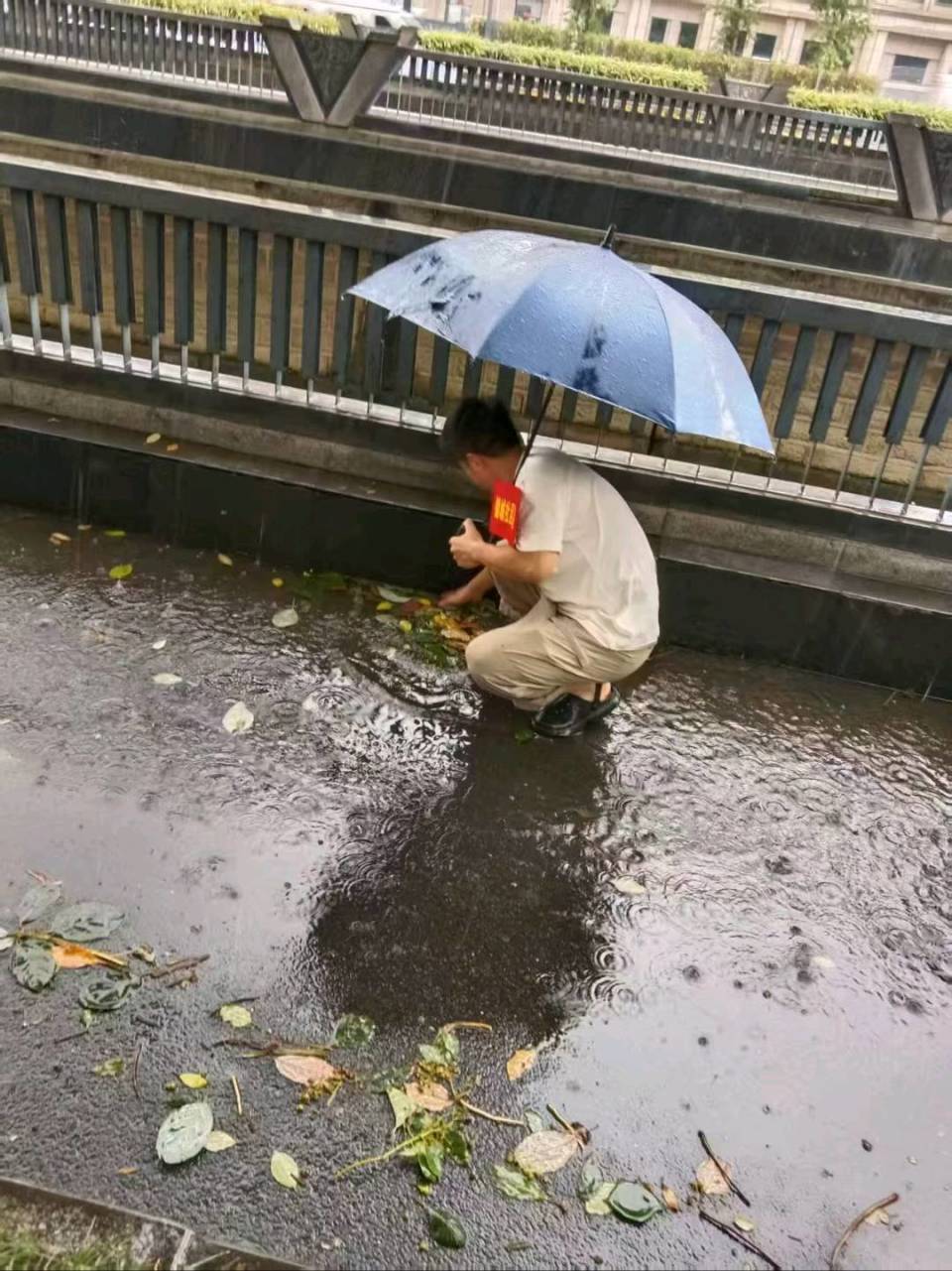 om, 会的平安与, lJWDn