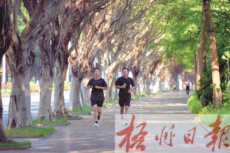 杨扬, AA